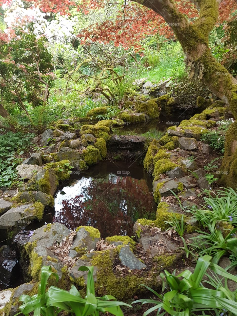 Rock water creek pond in nature park