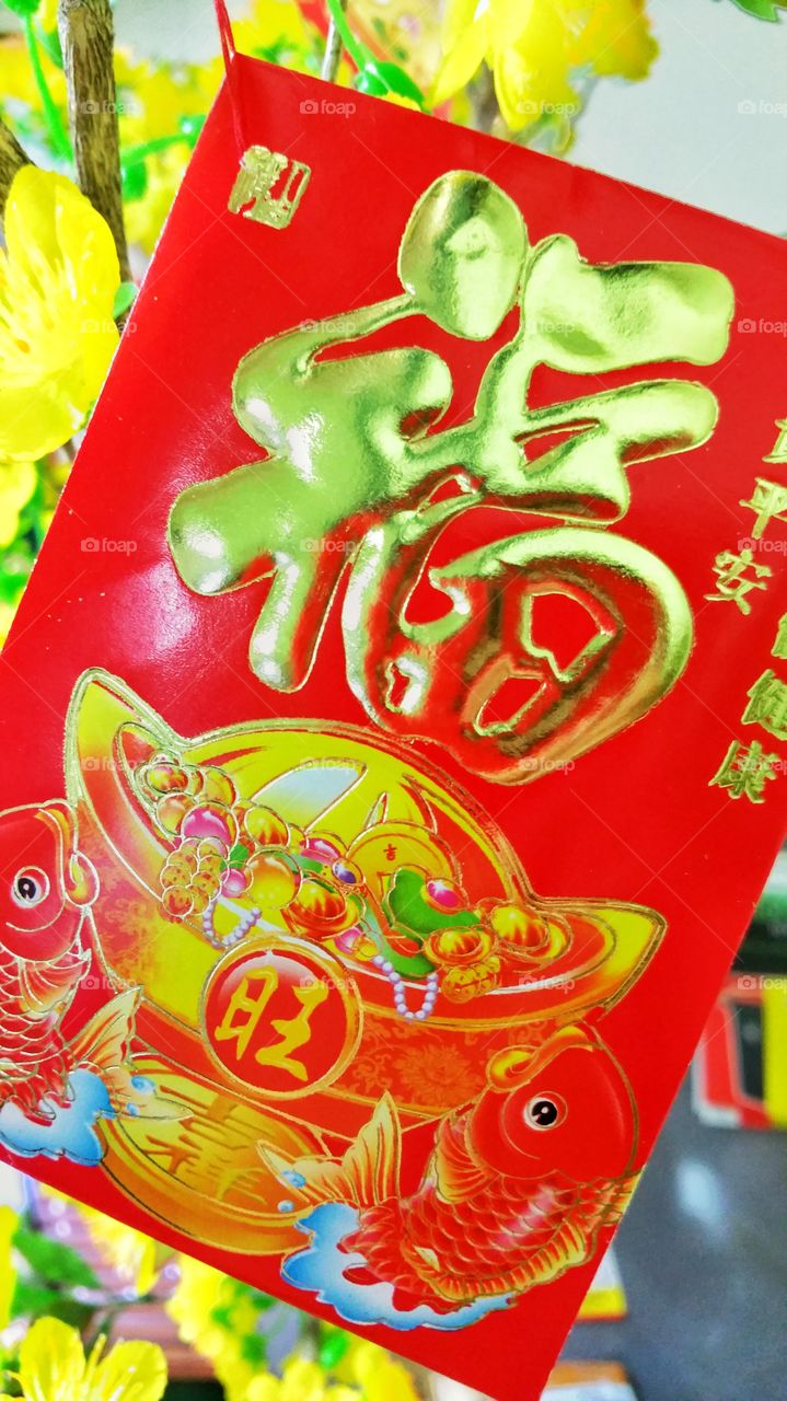 Chinese Lunar New Year celebration red packet, usually containing an amount of money. Such a gift offering is also common for other special occasions.