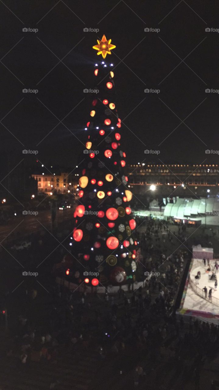 Christmas, Christmas Tree, No Person, Winter, Celebration