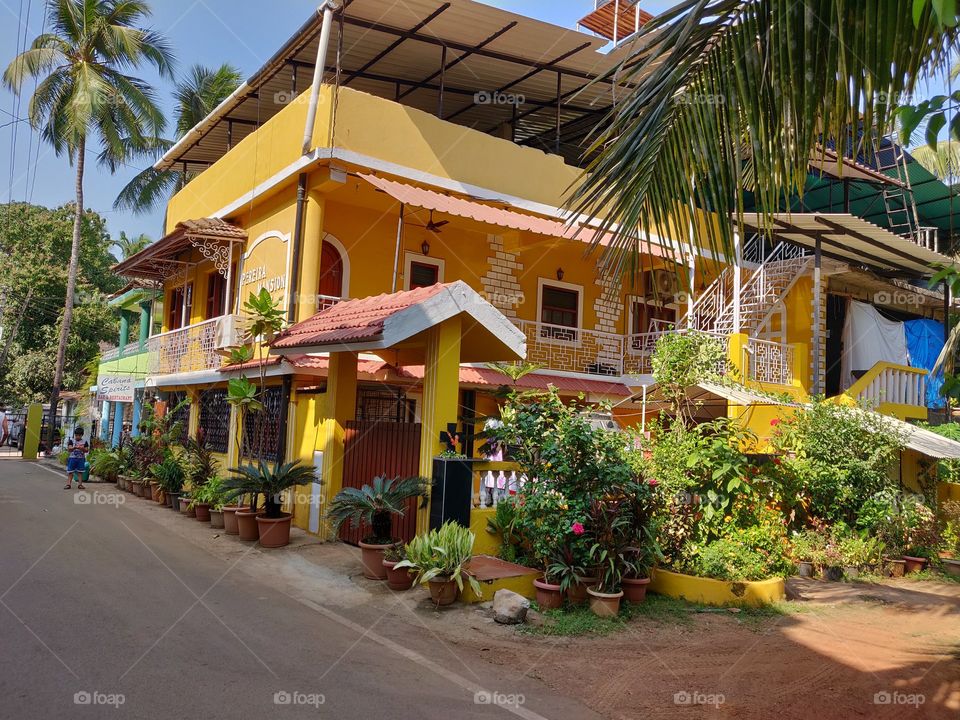 Bright country side of Goa, India