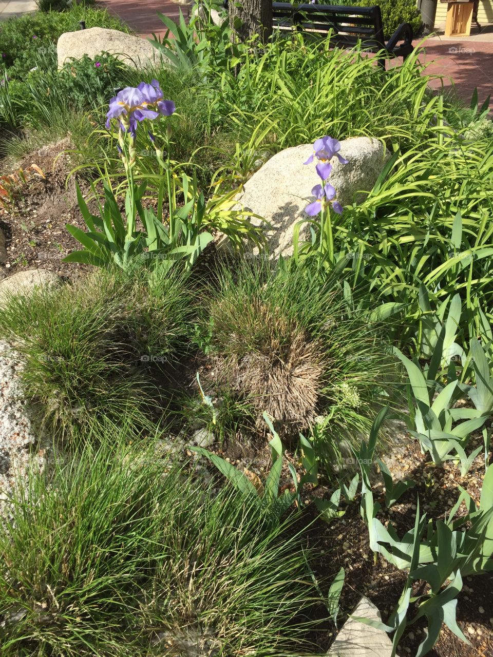 Fairy Quest. Pixie Home. Fairy Homes & Gardens. Pixie Hollow and Gardens. Gardner Village, in West Jordan, Utah. @chelseamerkleyphotos - Copyright © CM Photography. May 2019. 