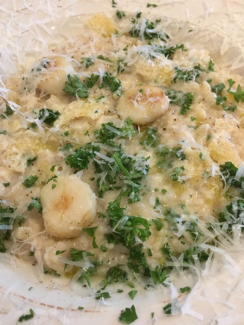 Scallops cream based pasta