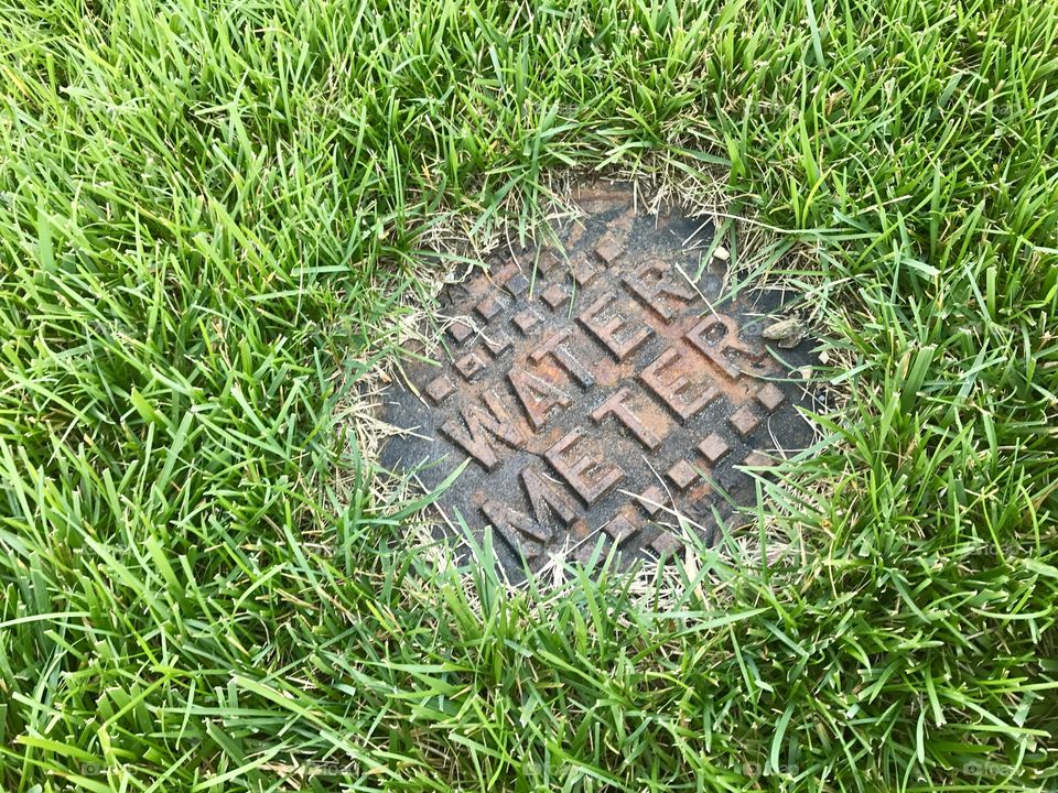 Water Meter Cover on Lawn