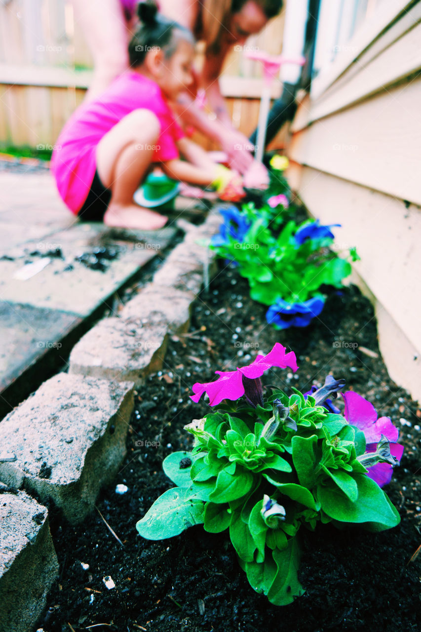 Little girl gardening 