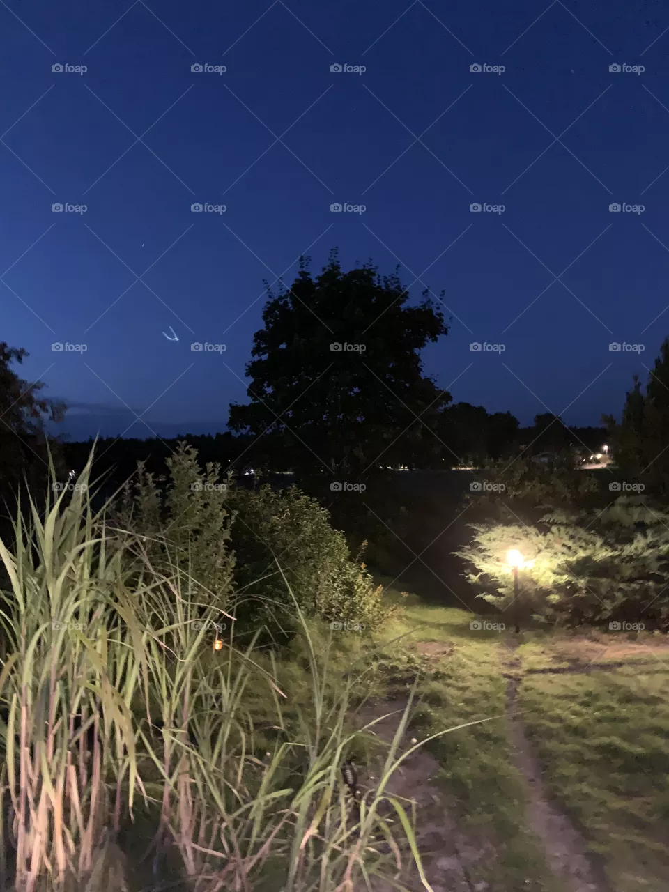 Summer evening