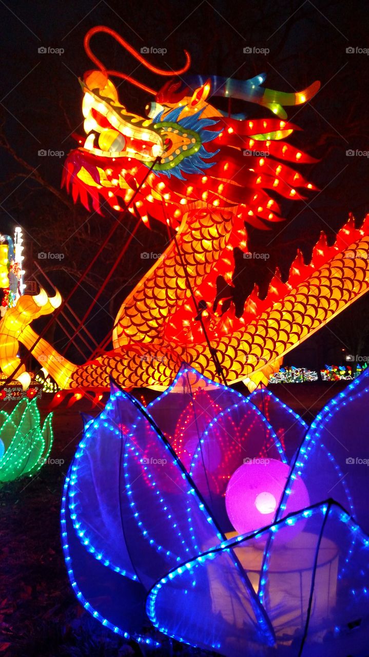 Red Dragon Chinese Lantern Festival New Year lights Carnival