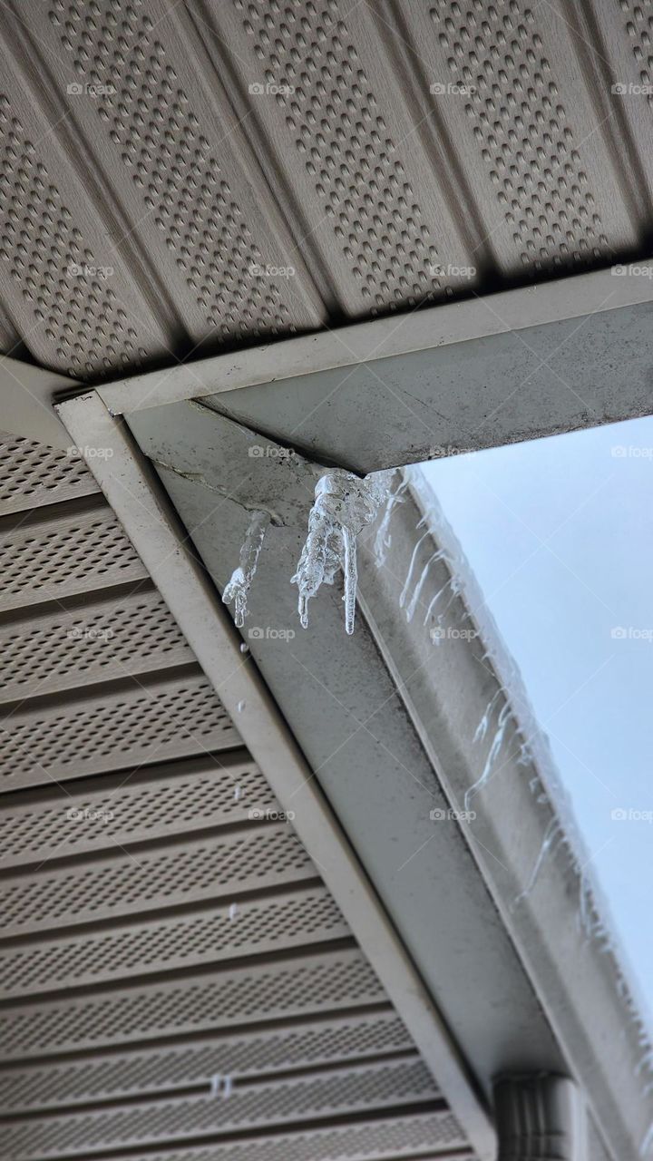 ice already melting 🫠