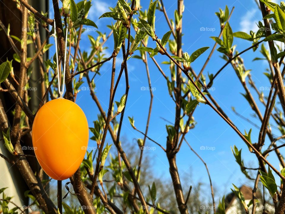 Close-up of an orange colored Easter egg hanging on a bush with green leaves