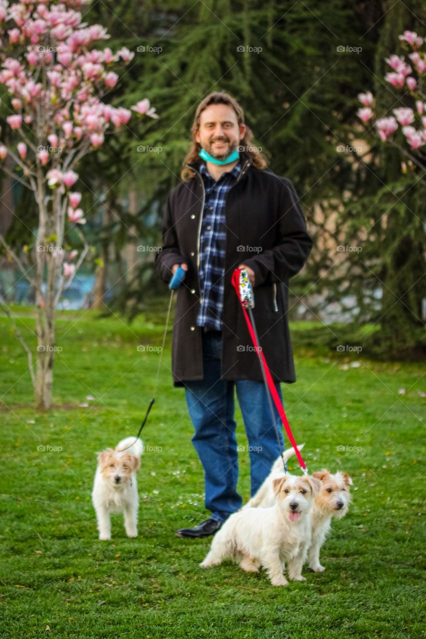 Taking dogs for the walk