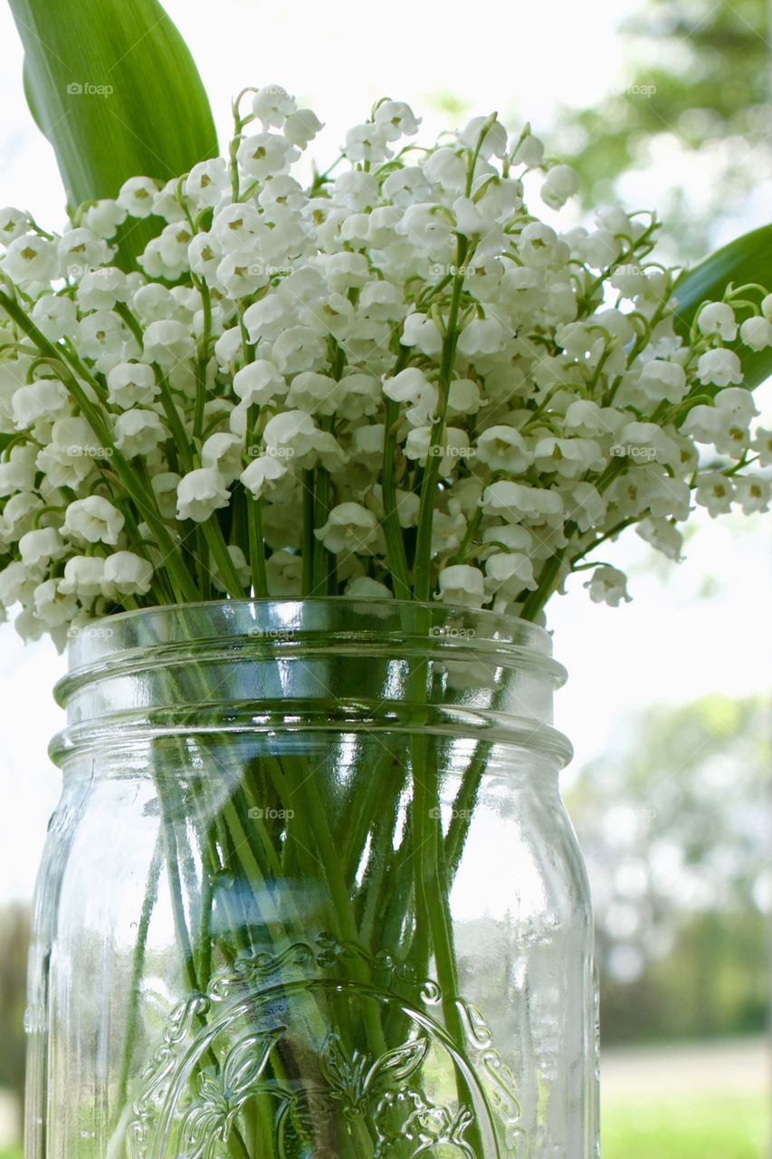 Low-angle view of Lily of the Valley blossoms in a mason jar against a blurred rural background