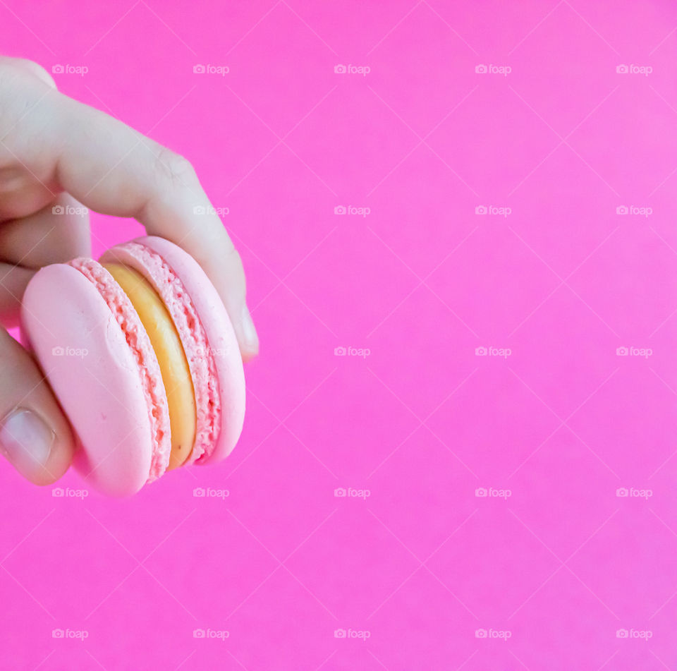Pink macaron with cream between the fingers on pink background.