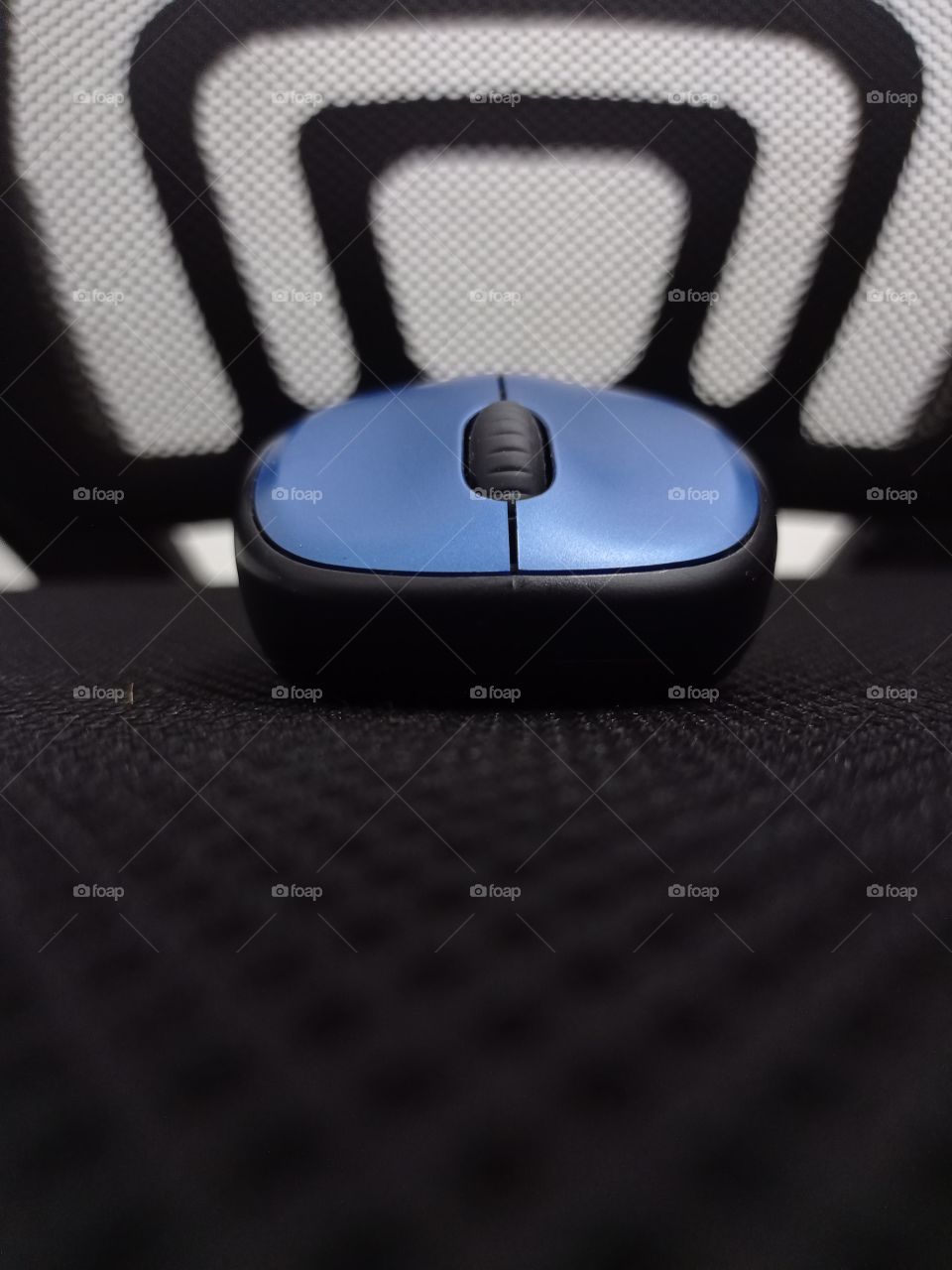the computer mouse perspective