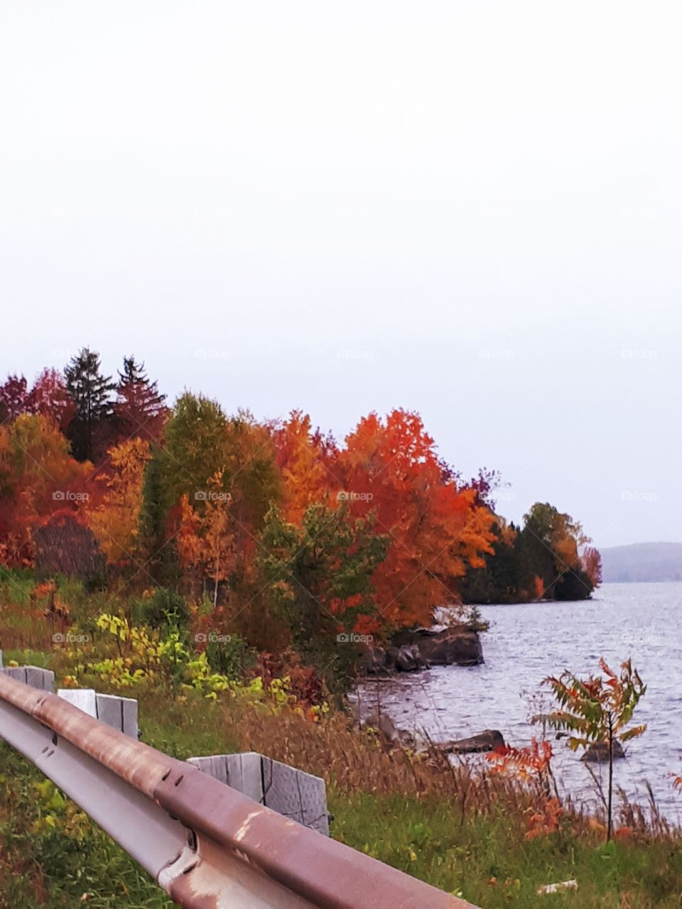 scenic fall colors on the trees by the water