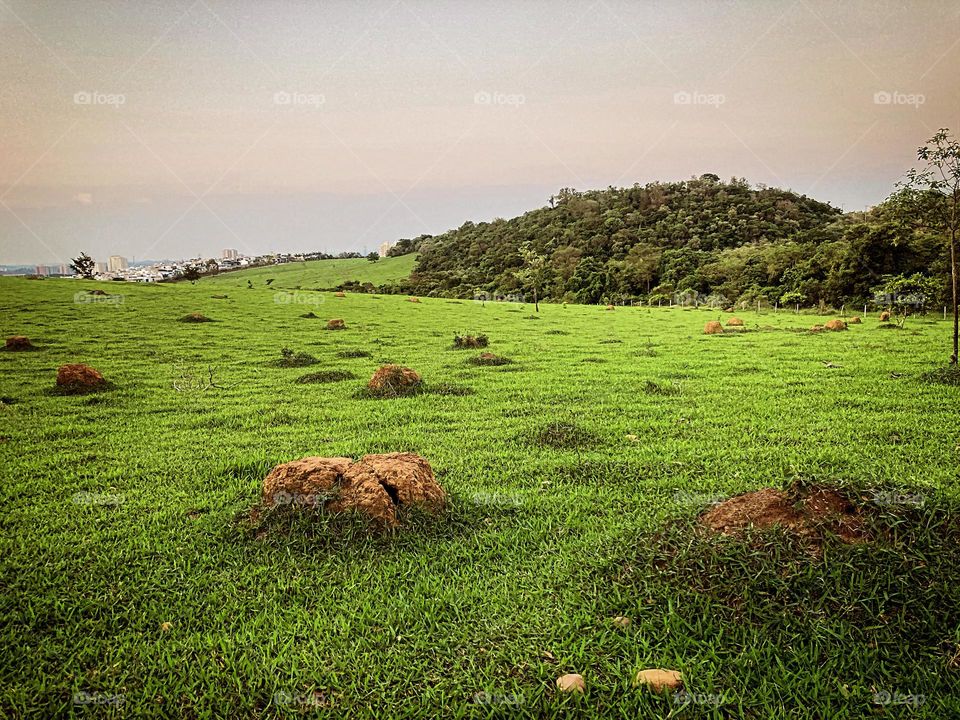 Agora: 18h15 na Serra da Ermida!
Tarde ainda clara, mas o domingo já foi…
📸
#FOTOGRAFIAéNOSSOhobby