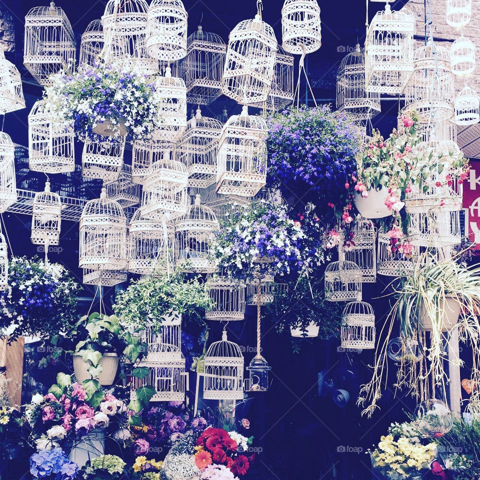 Flowers and birdcages