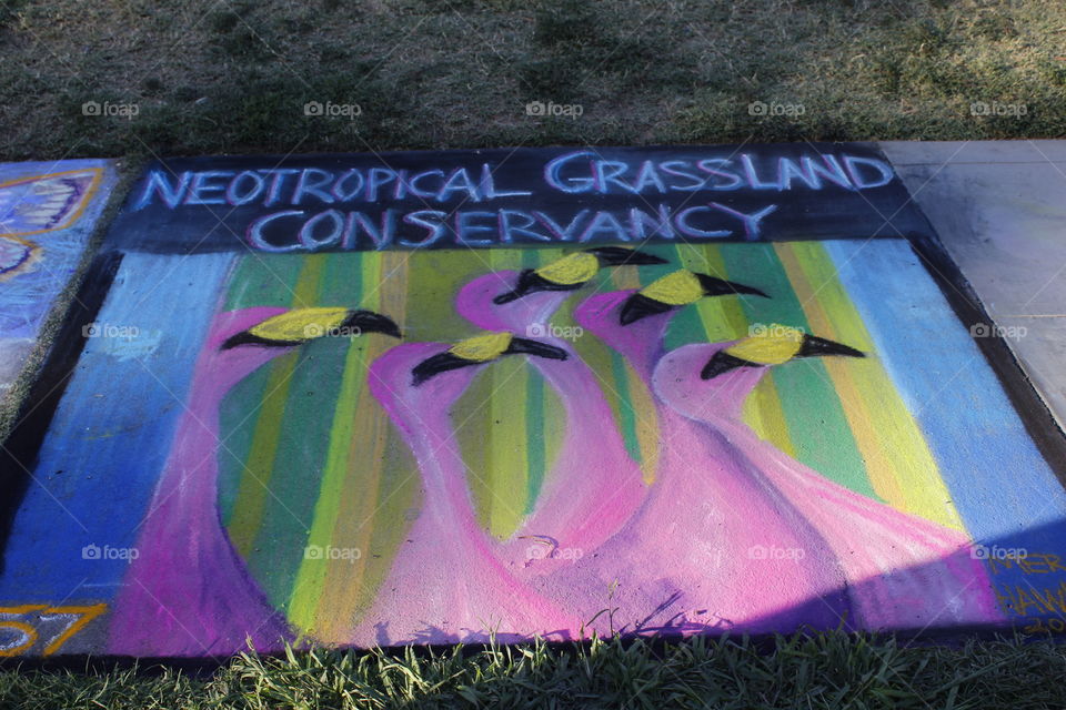 Graffiti, Color, Design, Wall, Painting