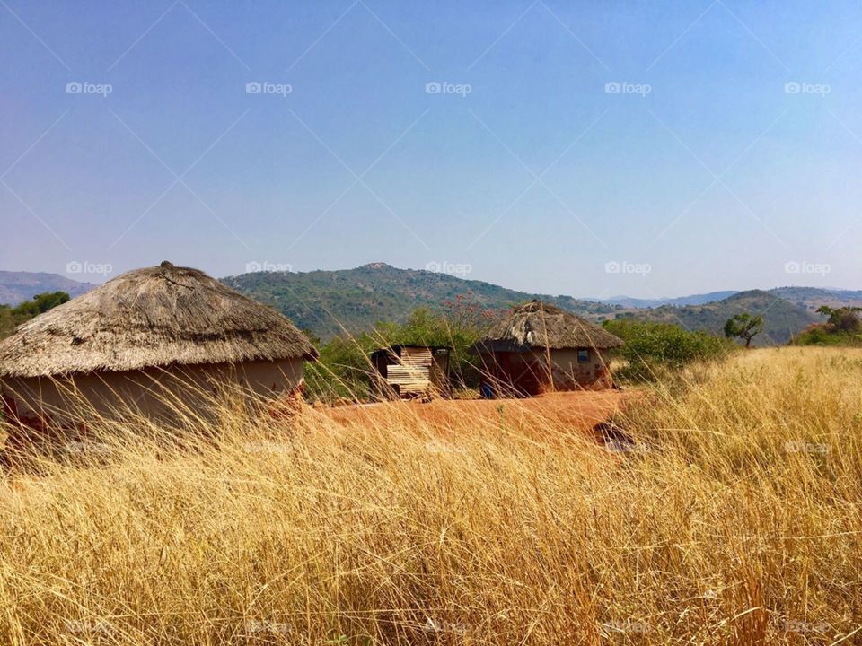 Swaziland homestead