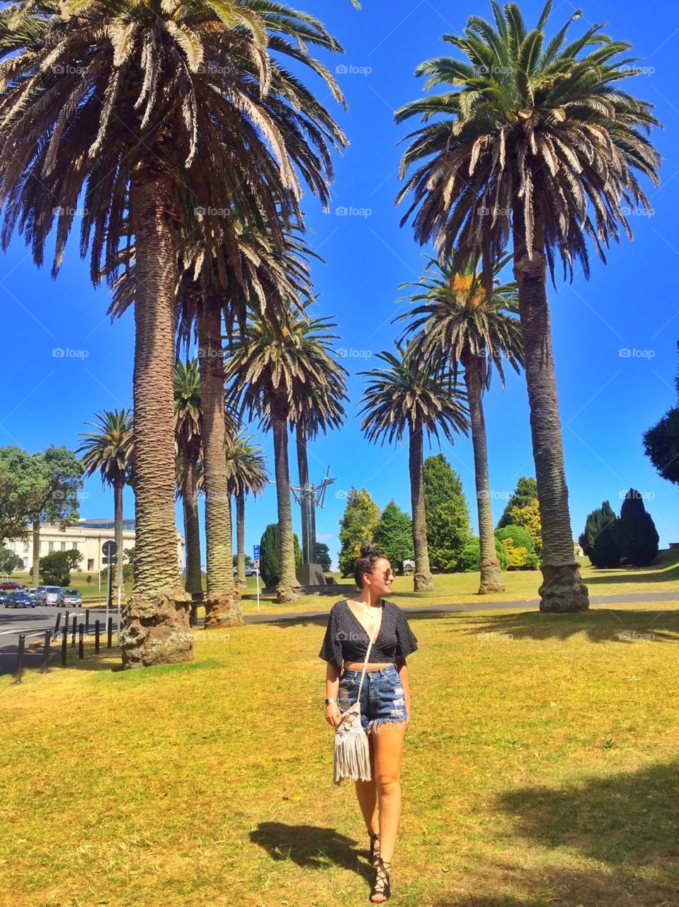 Palm tree life wherever I go 