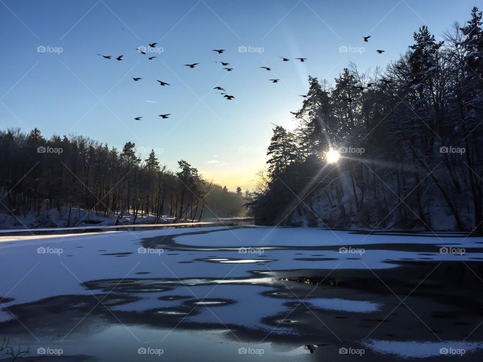 Winter, Snow, Landscape, Cold, Tree