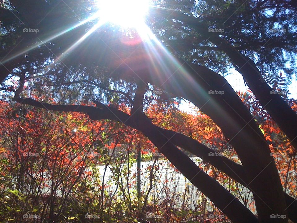 Borderland State Park Fall Sunlight
