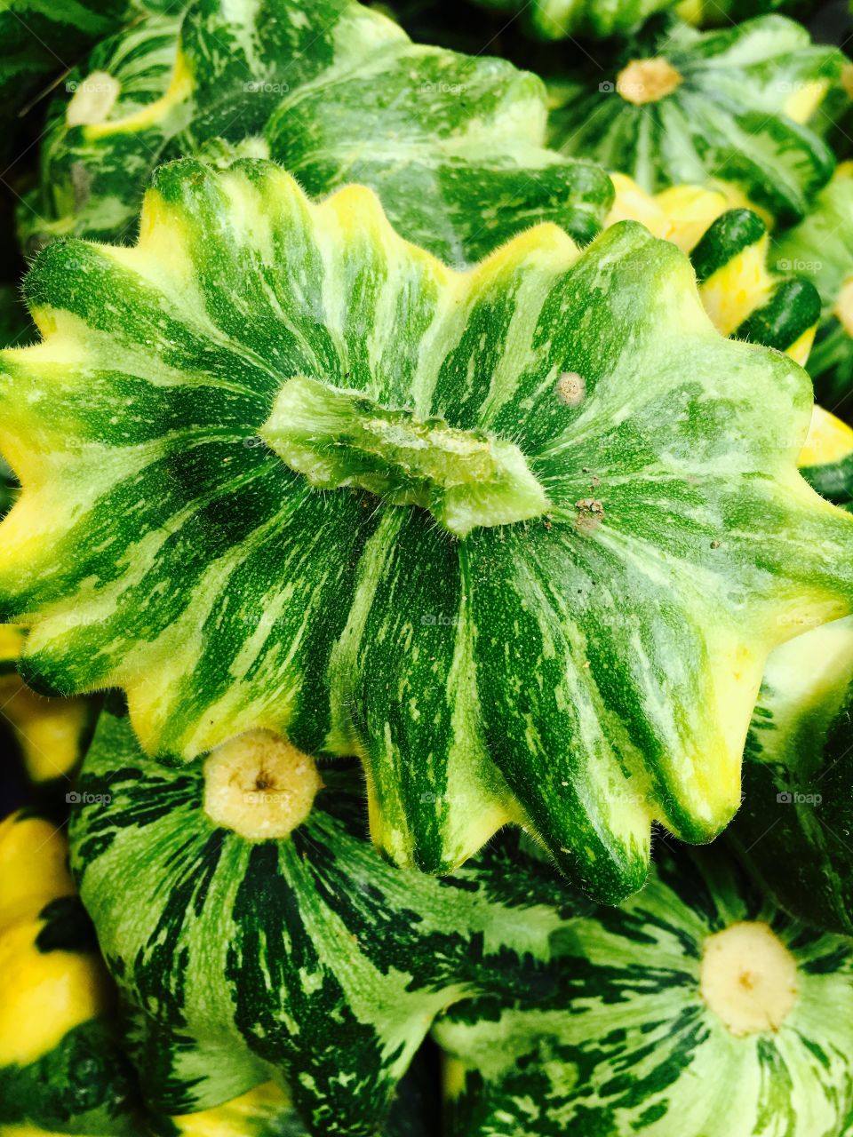 Squash at the local farmers market