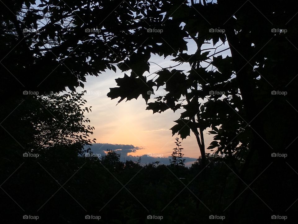 Sunset through the trees in Connecticut 