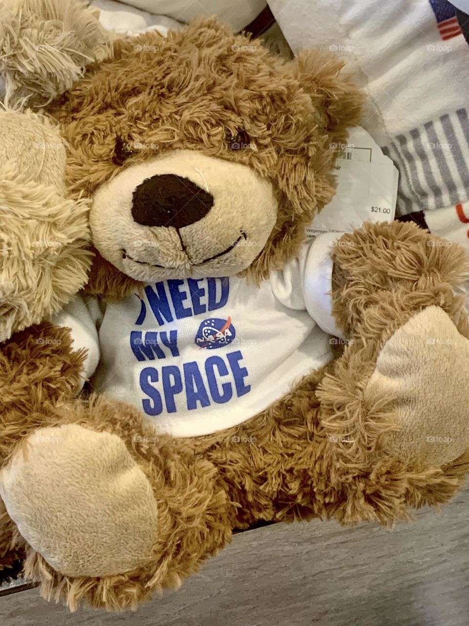 Space bear