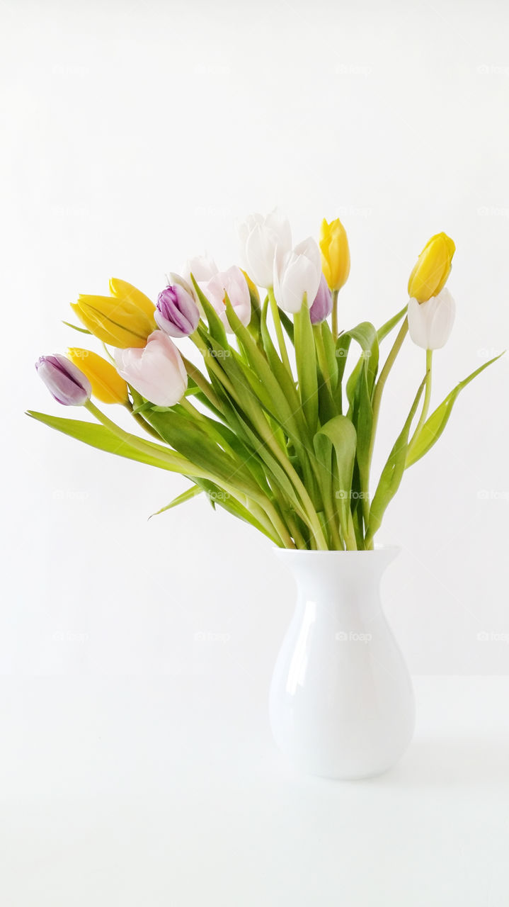 Beautiful bouquet of tulips. Spring photo