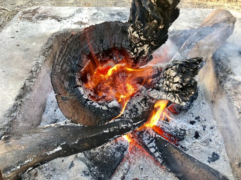 Enjoying the campfire 