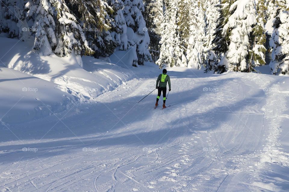 Skier on a slopes surrounded with trees covered with fresh snow