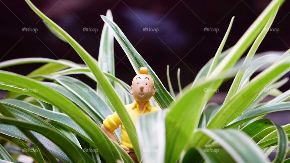 tintin in the middle of nowhere