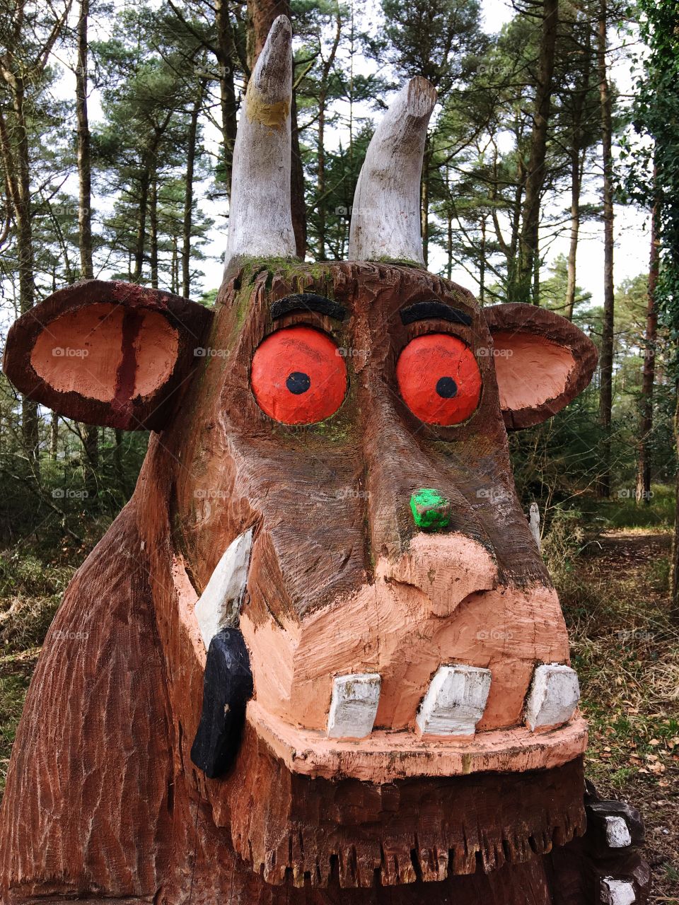 Haven’t you heard? There’s no such thing as a GruffalO!!! Oh me, oh my!! Haldon forest is south of Exeter and covers a large area. We look forward to exploring more of it natural beauty 