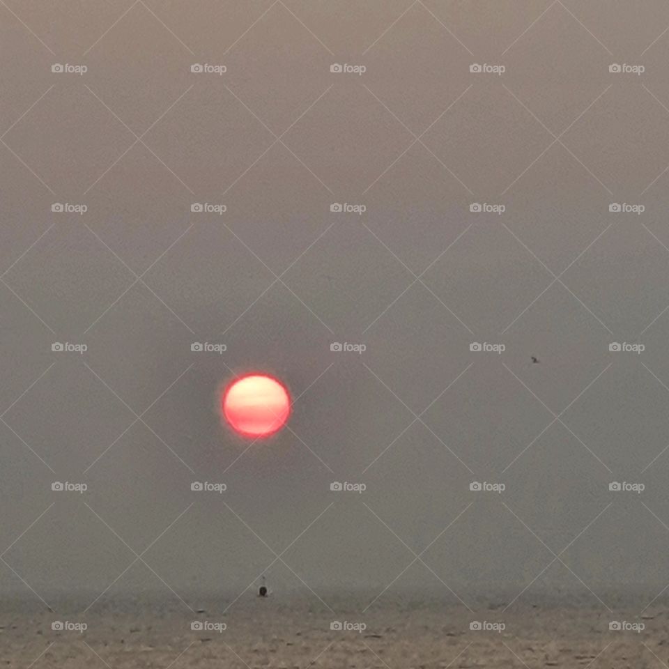 Sunset with a summer evening. The Netherlands