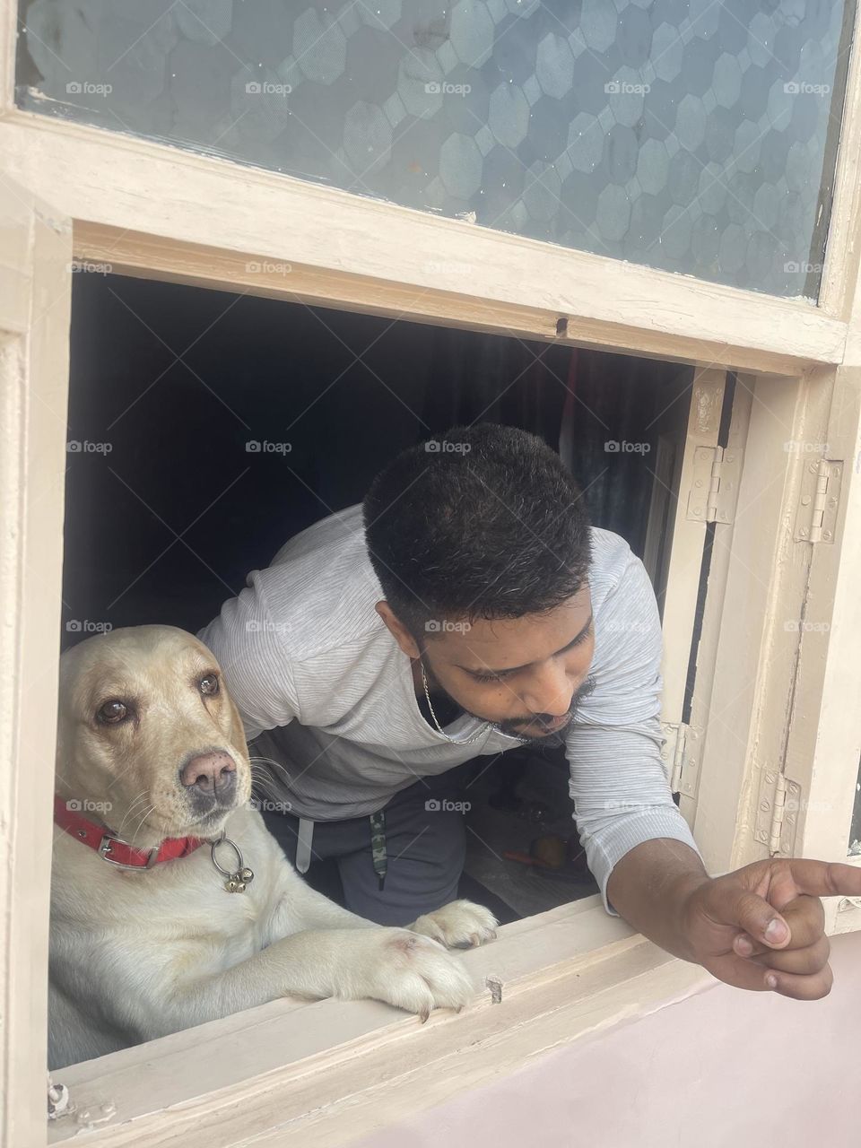 My therapist has four legs and a tail.