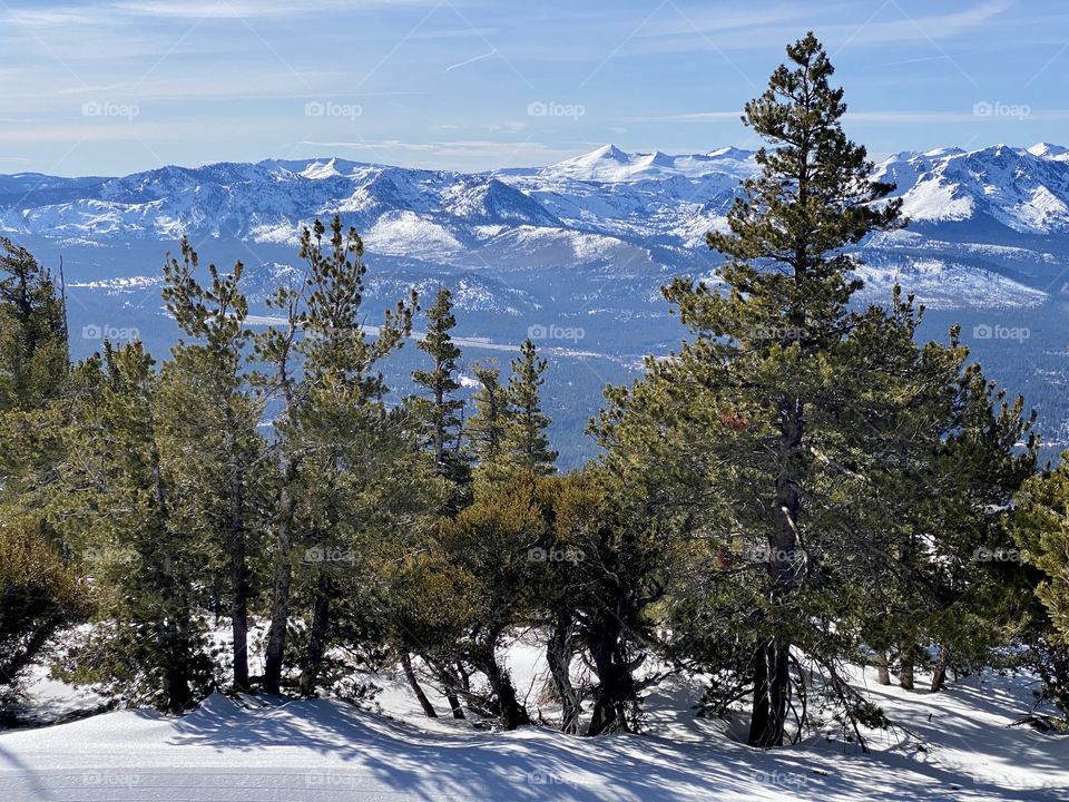 Winter in mountains