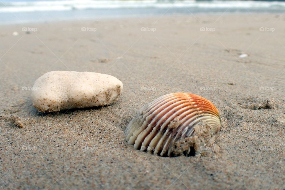 Shell an stone
