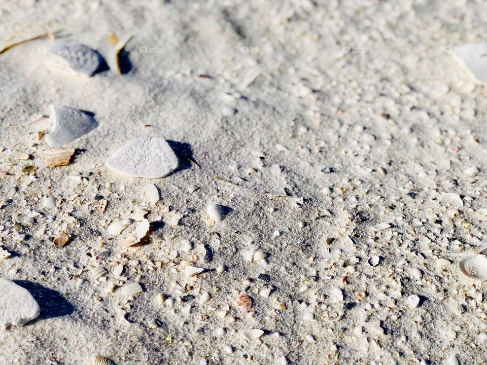 Closeup surface texture beach 