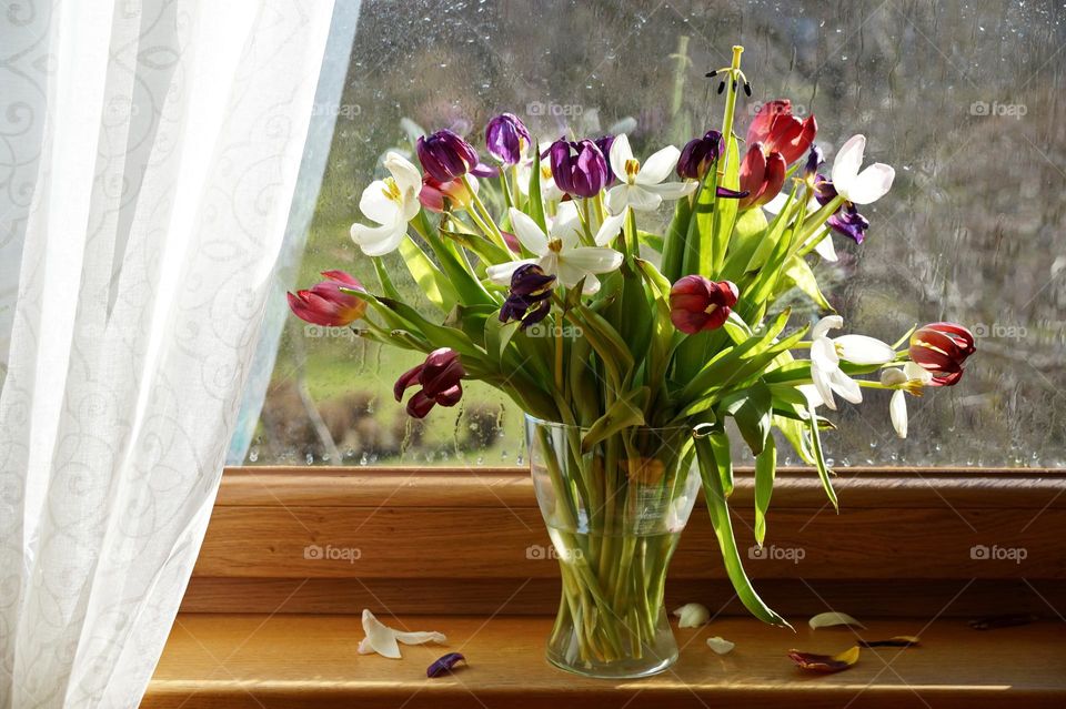 Bouquet of tulips in a vase by the window