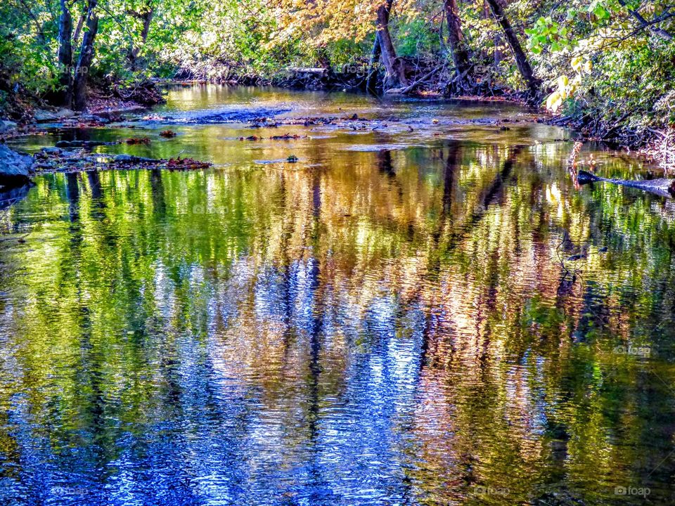 Autumn trees reflecting in lake
