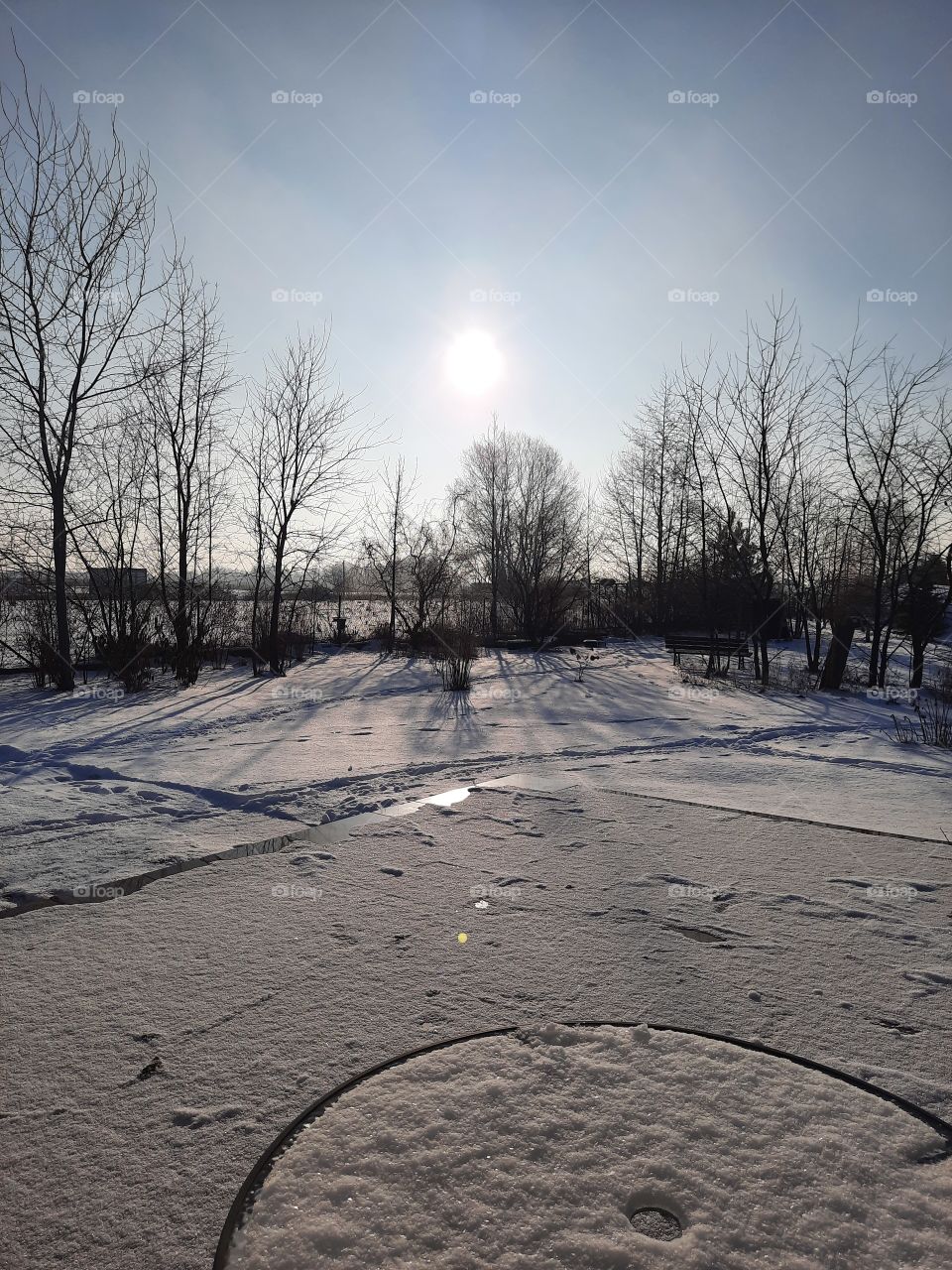 winter garden  covered with snow  in early morning sunshine