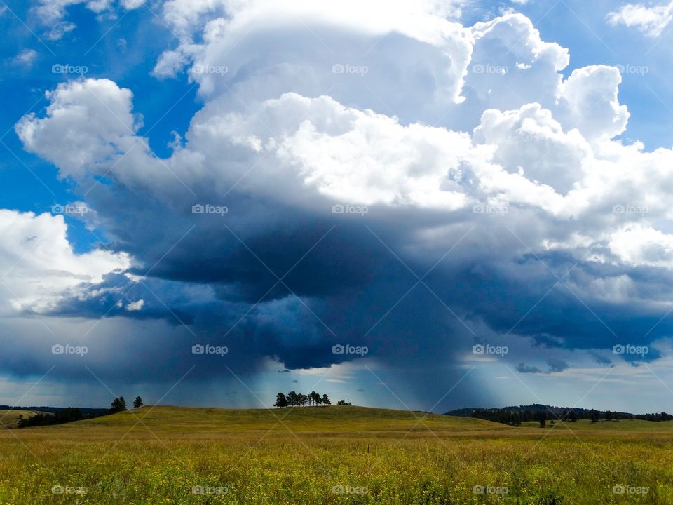 Rain cloud on the horizon in Custer State Park in South Dakota