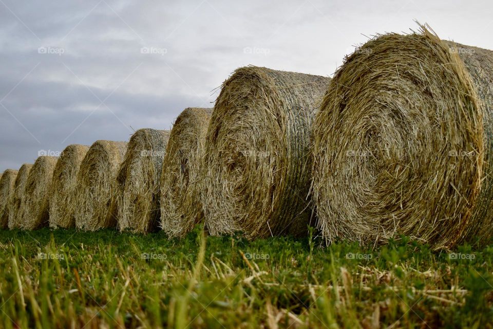 straw bales seen from the ground 