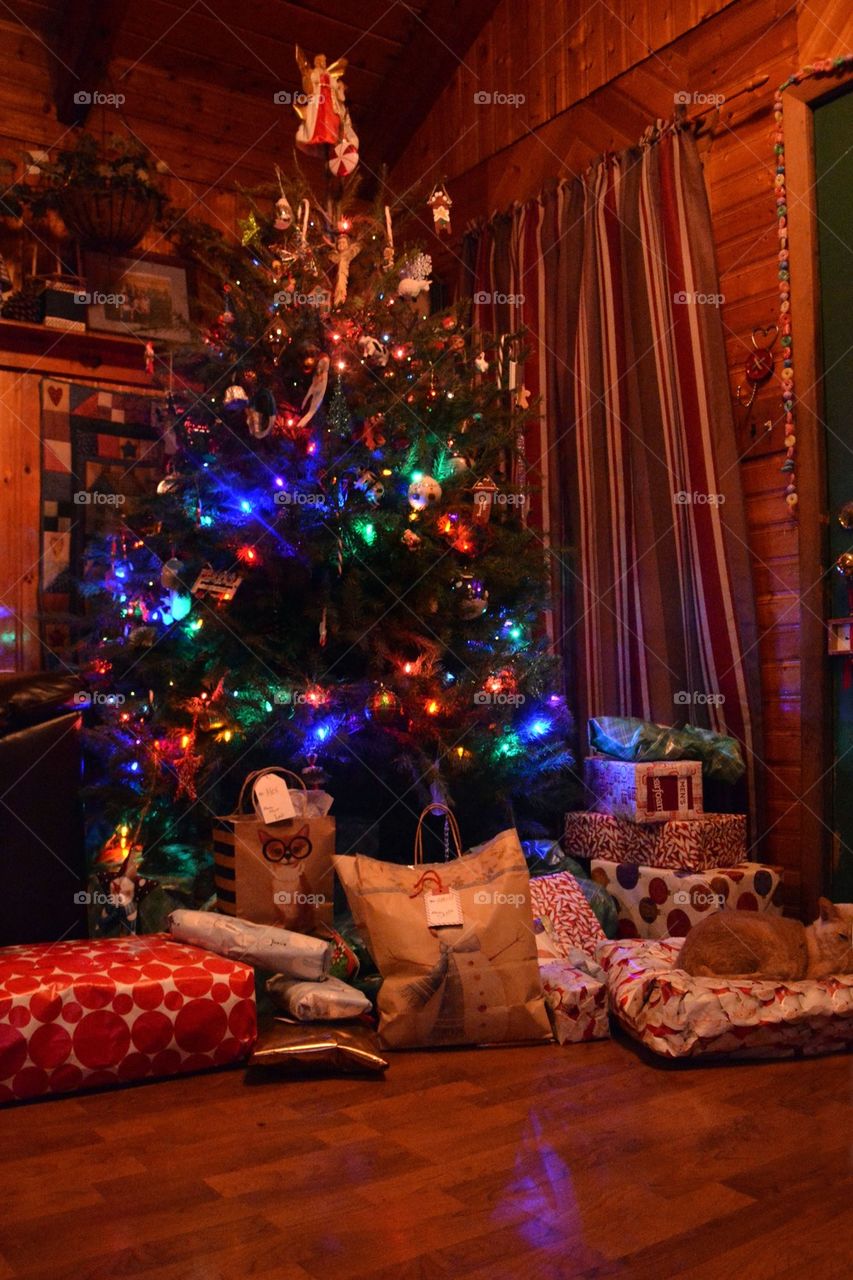 Christmas Tree At Home