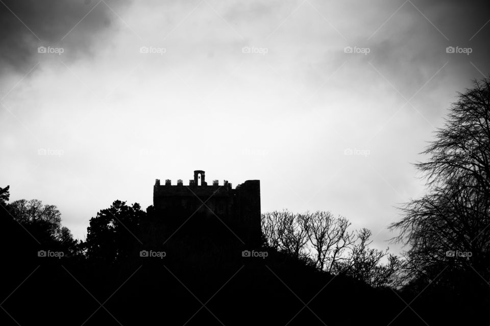 Monochrome, No Person, Castle, Architecture, Tree