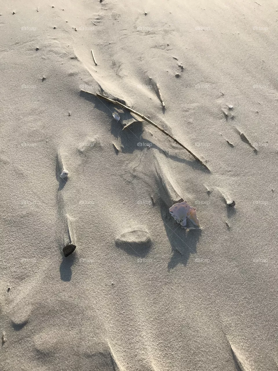 Sandy
