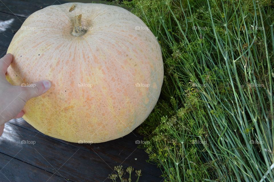 gourd on table