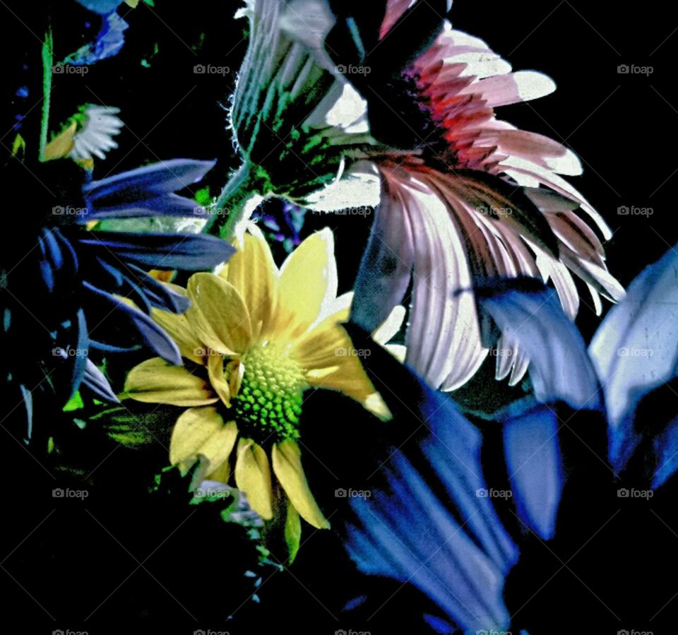 flow. lighting effects