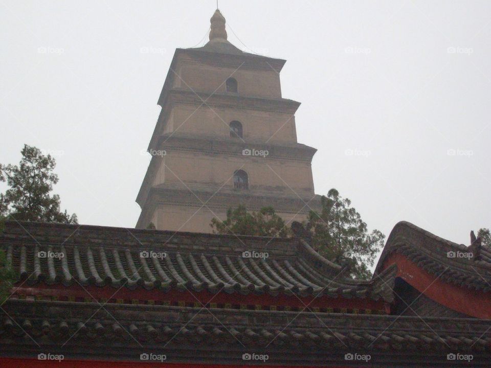Blue Goose Pagoda Xi'an China