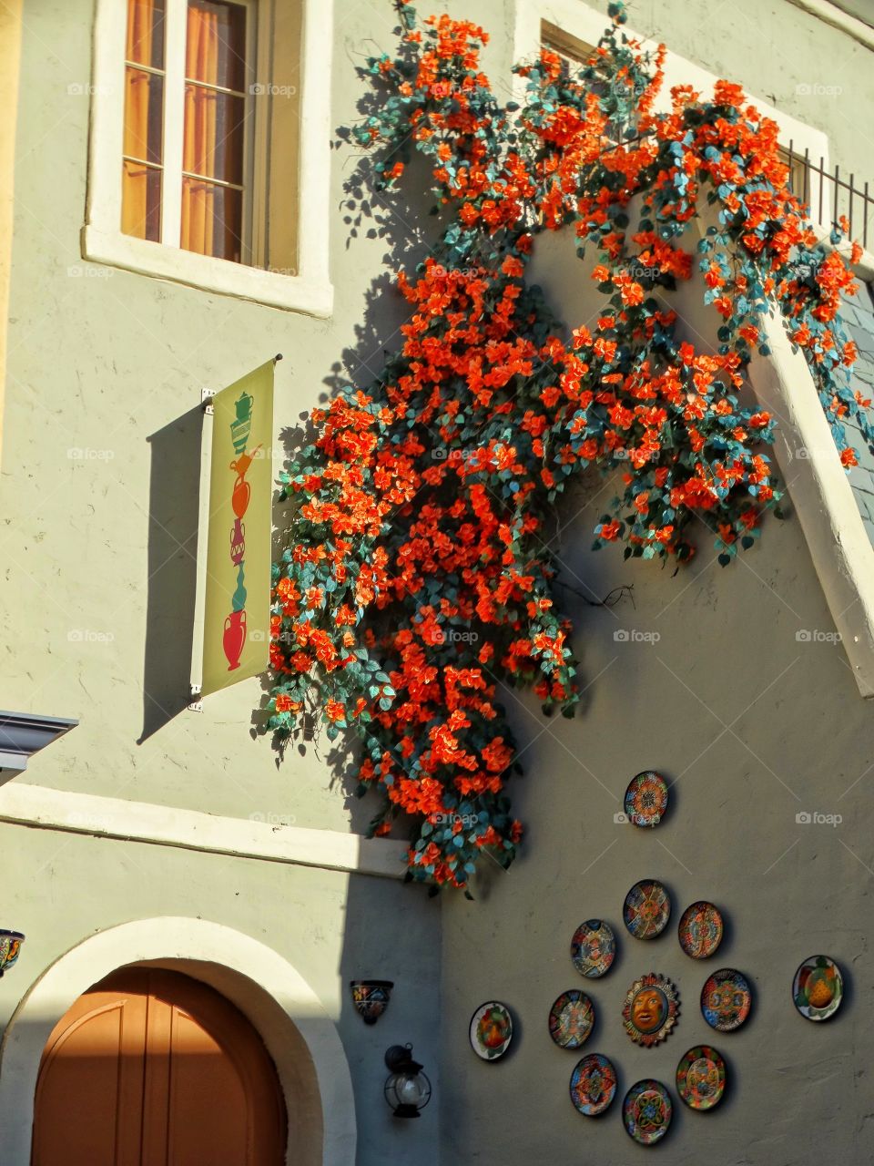 Orange Bougainvillea Vines Climbing California Home