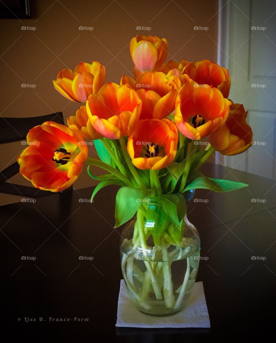 Pretty Tulips